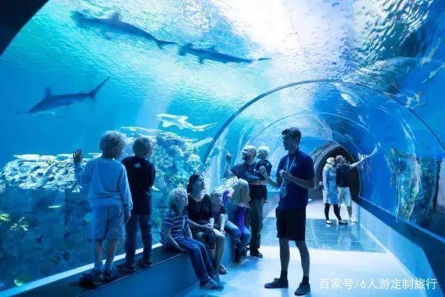 適合水族館的名字大全：水族館名字大全