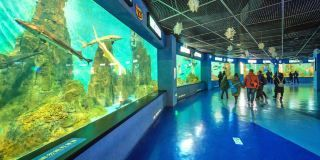 水族館一年能賺多少錢人民幣啊圖片（水族館一年能賺多少錢人民幣水族館一年能賺多少錢）