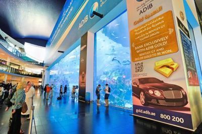 水族館一年能賺多少錢人民幣啊圖片（水族館一年能賺多少錢人民幣水族館一年能賺多少錢）