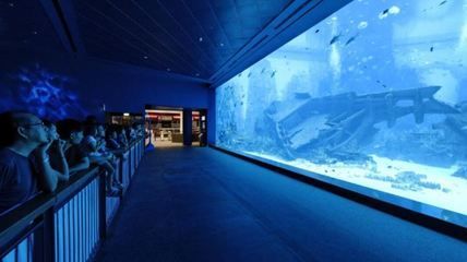 水族館一年能賺多少錢人民幣啊圖片（水族館一年能賺多少錢人民幣水族館一年能賺多少錢）