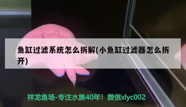 魚缸過濾系統怎么拆解(小魚缸過濾器怎么拆開)