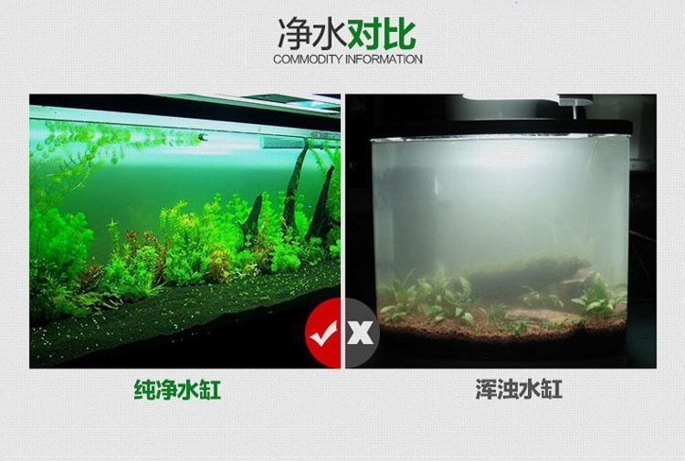 1米8魚缸用多厚的超白玻璃合適呢視頻：)魚缸制作教程(第一集)魚缸制作教程 1米8魚缸用多厚的超白玻璃合適呢視頻：)魚缸制作教程(第一集)魚缸制作教程 魚缸百科 第3張