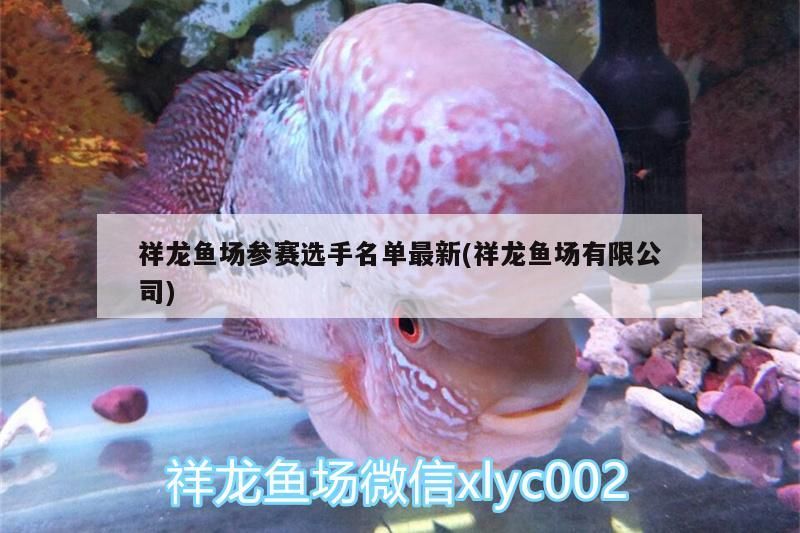 祥龍魚場參賽選手名單最新(祥龍魚場有限公司)