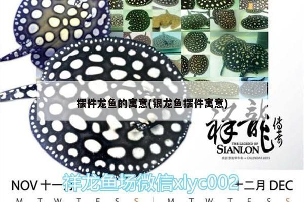 龍魚吊墜有什么講究vs祥龍魚場：關(guān)于龍魚吊墜的一些主要講究
