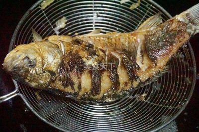 鄭州金龍魚食品廠地址查詢：鄭州金龍魚食品廠，品質與責任的堅守者