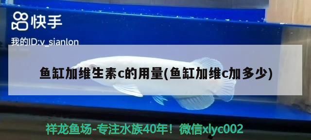 魚缸加維生素c的用量(魚缸加維c加多少)