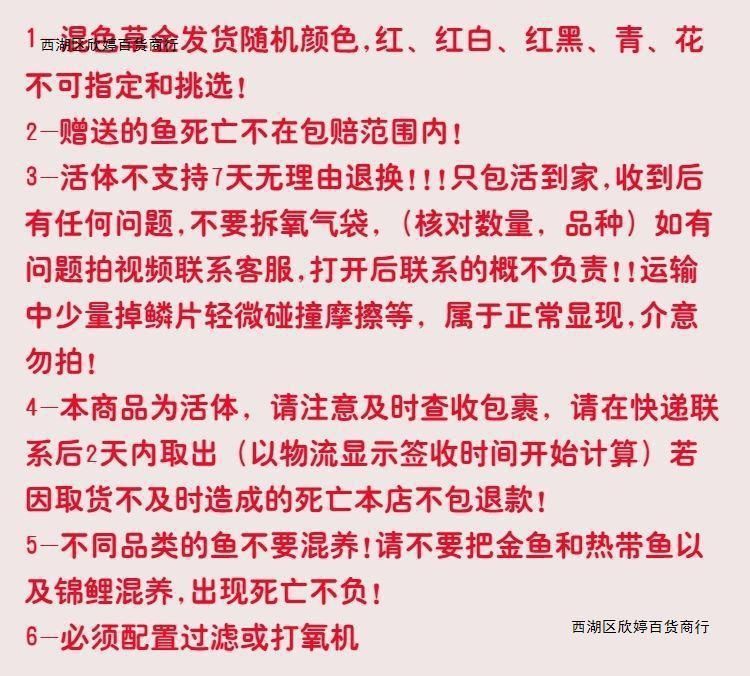 龍魚吃錦鯉飼料能消化嗎為什么會死亡