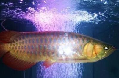 最透徹的人生感悟句子，在時(shí)光深處領(lǐng)悟生命的真諦，時(shí)光深處的生命真諦，最透徹的人生感悟