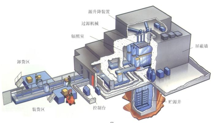 探尋城市中的海洋世界，最近的水族魚店指南，城市尋海指南，最近水族魚店全攻略