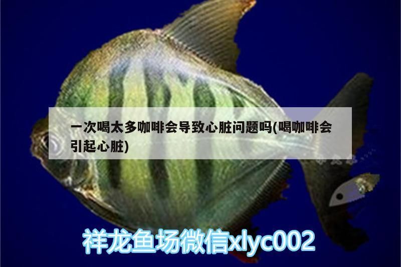 一次喝太多咖啡會導(dǎo)致心臟問題嗎(喝咖啡會引起心臟)