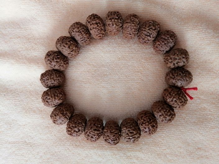 可食用觀賞魚(yú)有什么（可食用觀賞魚(yú)有什么好處）