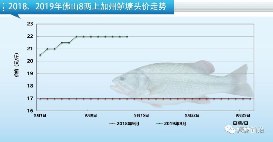 最吉利的魚第一名，錦鯉的吉祥寓意與文化傳承，錦鯉，最吉利的魚之首，揭秘其吉祥寓意與文化傳承