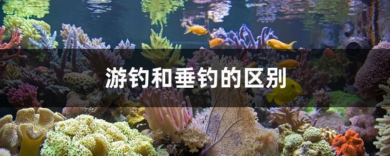 游釣和垂釣的區別