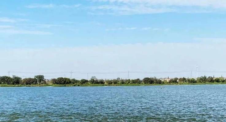 最狠的趕走邪氣方法，從風水到心法，徹底凈化負能量，最狠的趕走邪氣方法，從風水布局到心法修煉，徹底凈化負能量！