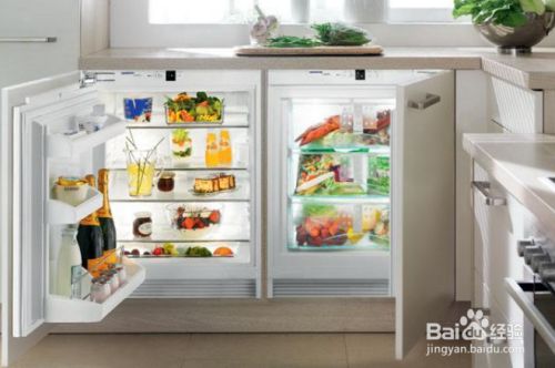 最好養的淡水魚，新手魚友的理想選擇，最適合新手的5種最好養淡水魚推薦