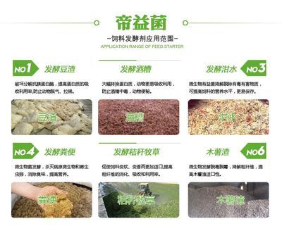 最好養的淡水觀賞魚，新手入門的最佳選擇，新手必養！10種最好養的淡水觀賞魚推薦