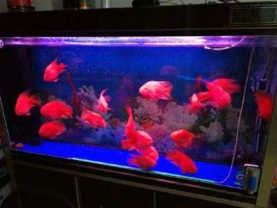 自坐財(cái)庫(kù)的15個(gè)日柱，財(cái)富穩(wěn)固的命理特征，自坐財(cái)庫(kù)的15個(gè)日柱解析，財(cái)富穩(wěn)固的命理特征