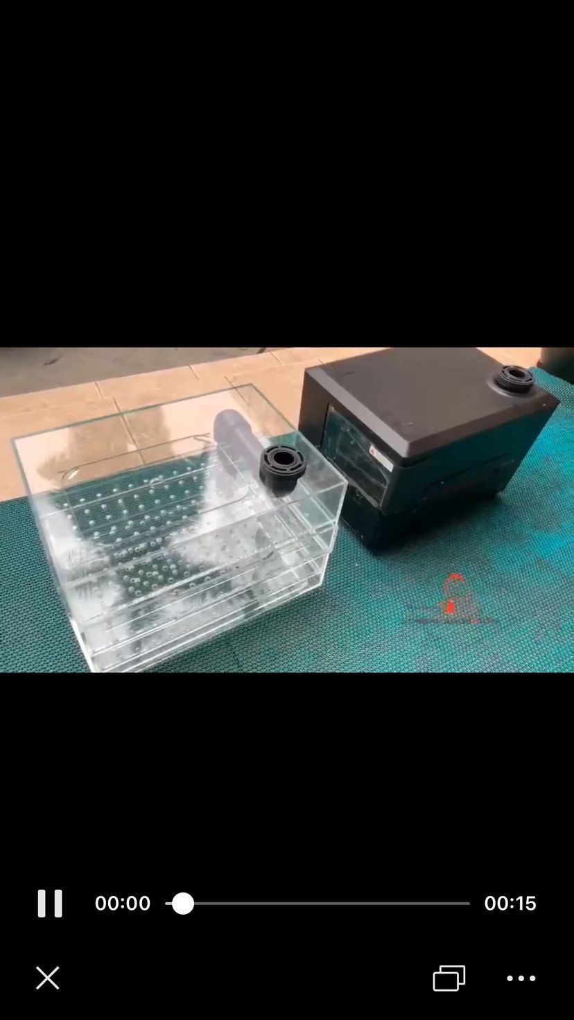 海豐縣海城心雅水族店