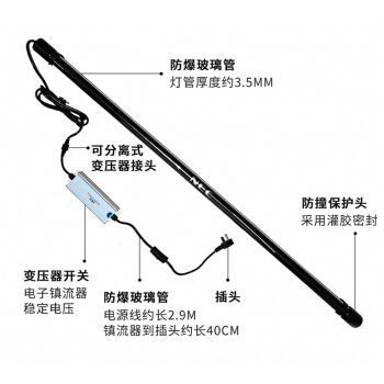 浙江龍魚市場怎么樣啊：探秘浙江龍魚市場，水族瑰寶的交易舞臺