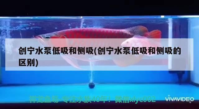 創寧水泵低吸和側吸(創寧水泵低吸和側吸的區別)