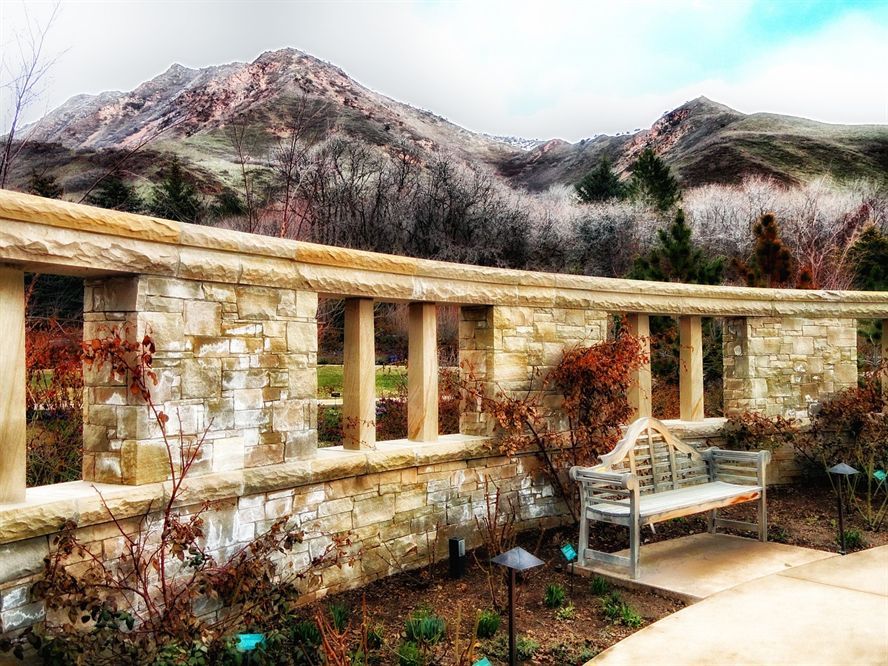 荊州觀賞魚批發市場在哪個位置好 荊州批發魚市場價格