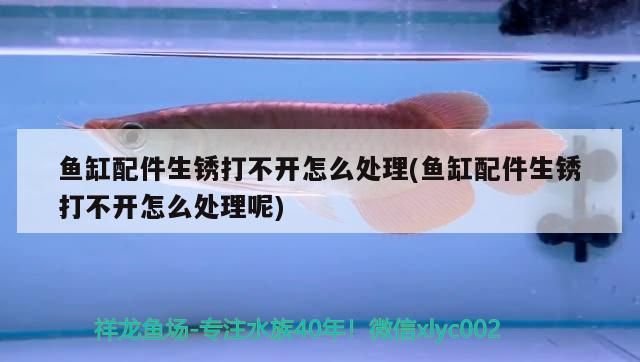 魚缸配件生銹打不開怎么處理(魚缸配件生銹打不開怎么處理呢)