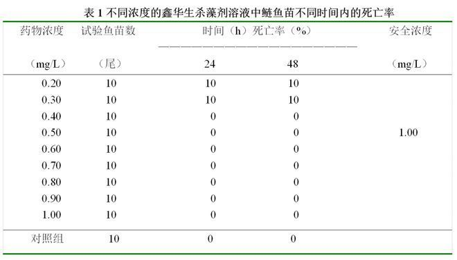 中華草龜，招財小烏龜的養護秘訣與文化寓意，中華草龜，招財小烏龜的養護秘訣與文化寓意全解析