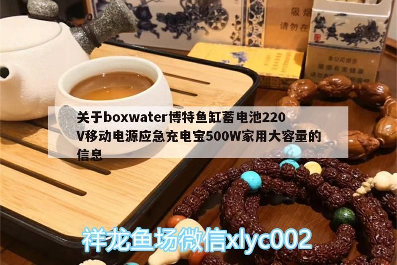 關于boxwater博特魚缸蓄電池220V移動電源應急充電寶500W家用大容量的信息 關于boxwater博特魚缸蓄電池220V移動電源應急充電寶500W家用大容量的信息 博特水族