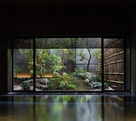 肇慶金龍魚的經銷商是誰家的：探尋肇慶金龍魚背后的經銷商之謎