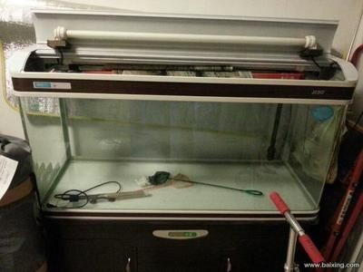 孟吉爾辰赤紅龍怎么樣：孟吉爾辰赤紅龍是一種外觀美麗、品質(zhì)優(yōu)良的觀賞魚 孟吉爾辰赤紅龍怎么樣：孟吉爾辰赤紅龍是一種外觀美麗、品質(zhì)優(yōu)良的觀賞魚 廣州孟吉爾 第1張