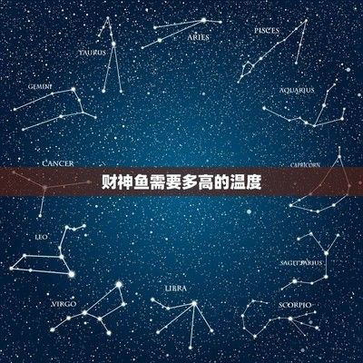肇慶金龍魚的經銷商什么公司名稱好聽點：探尋肇慶金龍魚優質經銷商背后的好公司名稱之韻