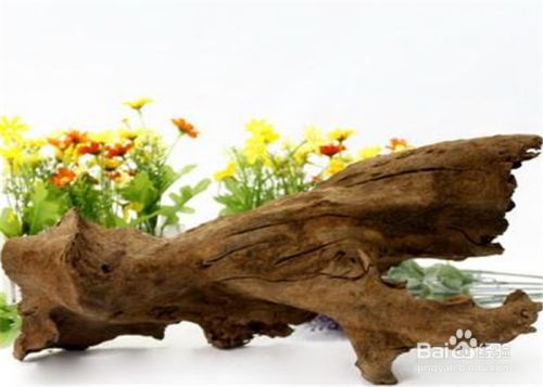 肇慶金龍魚的經(jīng)銷商電話是多少：探尋肇慶金龍魚經(jīng)銷商電話背后的商業(yè)脈絡(luò)