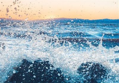 中國十大高檔級觀賞魚，品種、鑒賞與養(yǎng)殖指南，中國十大高檔觀賞魚，品種鑒賞與養(yǎng)殖全攻略