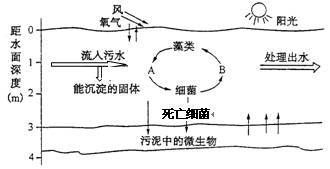 紹興可麗愛魚缸專賣店：紹興可麗愛魚缸專賣店，打造家居水族藝術新體驗