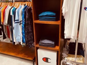 中國名貴魚第一名，長江刀魚的傳奇與現(xiàn)狀，長江刀魚，中國名貴魚之首的傳奇興衰與生存現(xiàn)狀