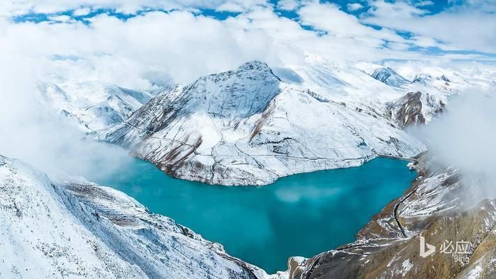 豬鼻龜生蛋需要受精嗎視頻：怎么判斷烏龜受沒受精