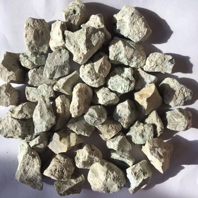 招財魚能和龍魚混養嗎圖片大全：招財魚與龍魚混養之探秘，可行與否及注意事項詳解