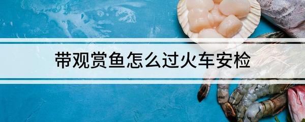 觀賞魚能不能帶上火車（觀賞魚能否帶上火車）