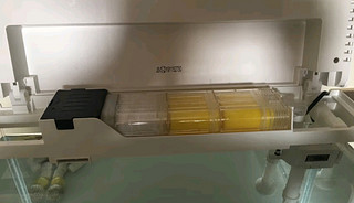 鎮宅青石一般埋多深好？風水講究與實用指南，鎮宅青石埋設深度解析，風水講究與實用指南