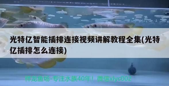 光特億智能插排連接視頻講解教程全集(光特億插排怎么連接)