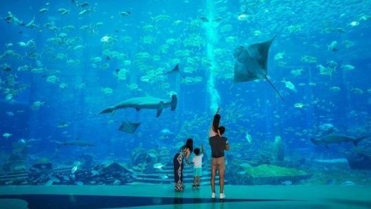 三亞亞特水族館簡介：三亞亞特蘭蒂斯失落的空間水族館