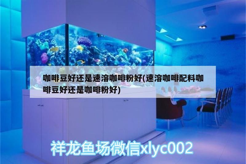 咖啡豆好還是速溶咖啡粉好(速溶咖啡配料咖啡豆好還是咖啡粉好)