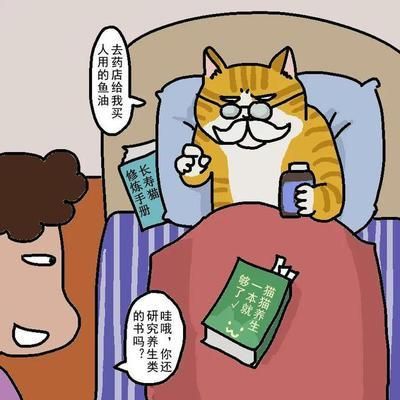 鎮宅黑魚養幾條？風水講究與飼養指南，鎮宅黑魚風水講究，養幾條最吉利？附飼養指南