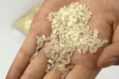 鎮宅擋煞最厲害的花，風水大師推薦的10種靈性植物，風水大師力薦，10種鎮宅擋煞最靈性的植物