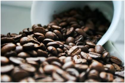 珍珠鳥的風水寓意，吉祥、和諧與繁榮的象征，珍珠鳥，象征吉祥、和諧與繁榮的風水靈禽