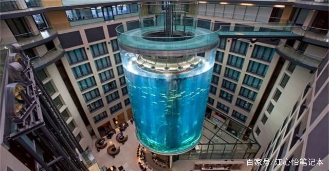 水族館一般多少錢一平方（水族生物采購成本分析水族生物采購成本分析） 水族館一般多少錢一平方（水族生物采購成本分析水族生物采購成本分析） 水族館百科（水族館加盟） 第2張