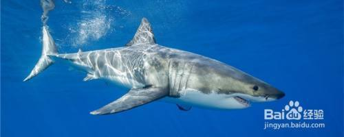 招財最厲害的三種東西，財富、貴人與智慧，招財三寶，財富、貴人與智慧，助你財運亨通