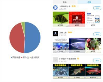 觀賞魚市場價格調查（觀賞魚市場價格的影響因素）