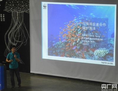 招財魚養幾條不打架？科學養殖指南助你打造和諧魚缸，招財魚最佳飼養數量指南，避免打架的科學養殖技巧