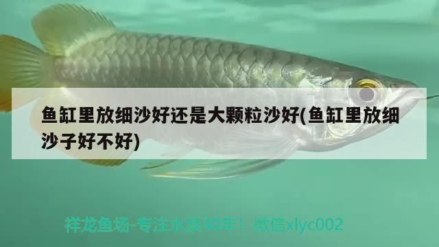 孟吉爾萬(wàn)吉日常更新